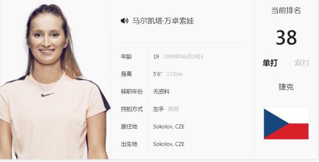 樊振东短暂